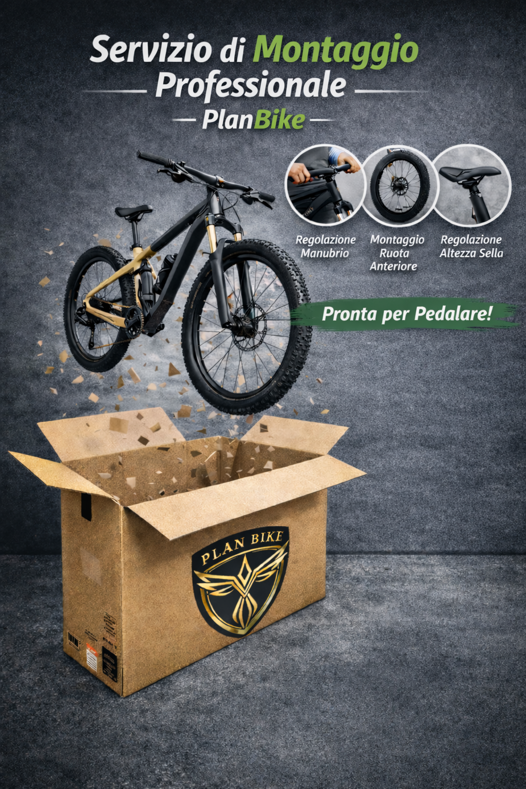 Servizio di Montaggio Bicicletta