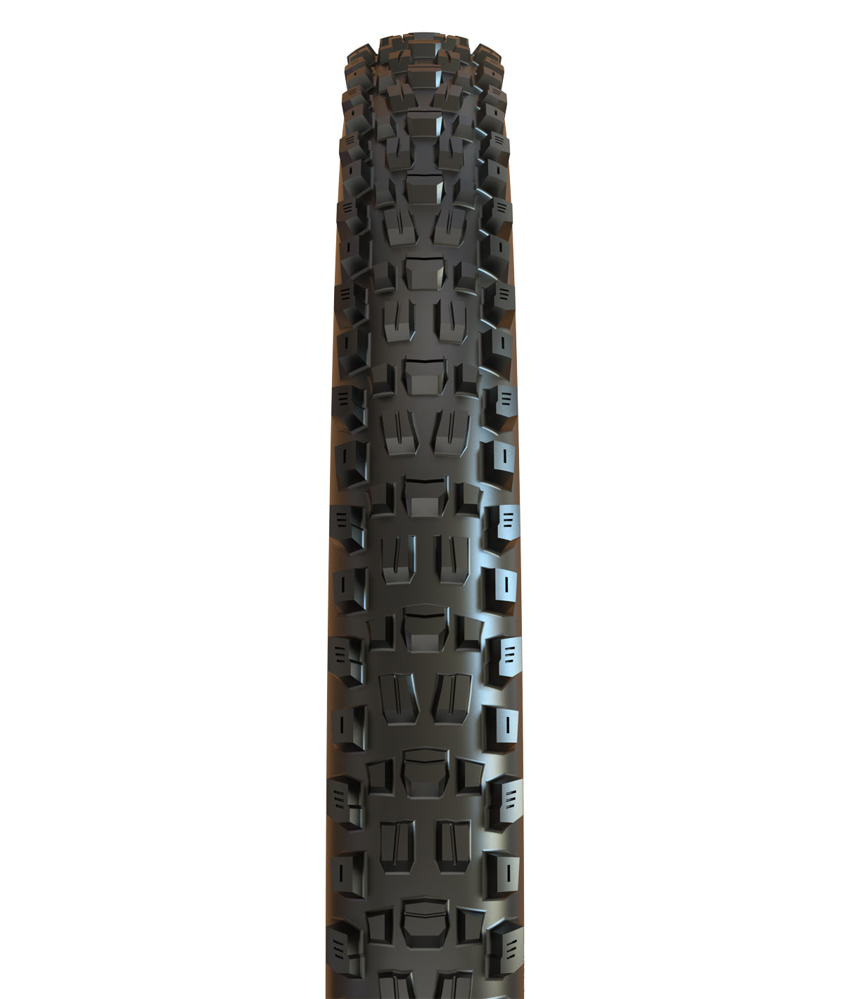 Maxxis Copertone Assegai 29x2.50WT TR DH casing Bikepark 60x2TPI rigido - NERO