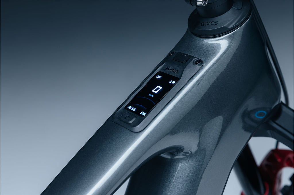 Steppenwolf Tundra 10.0 | Avinox 120Nm | SRAM X0 Eagle 12s | RockShox Lyrik Ultimate 160 mm