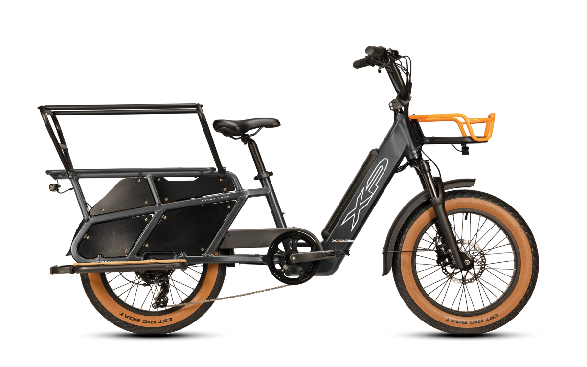 XP Bikes X-2LOAD | Motore 65 Nm | Batteria 865 Wh | Shimano Tourney 7V