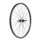 MICHE XM 45 29'' REGULAR - Grigio - Tubeless Ready